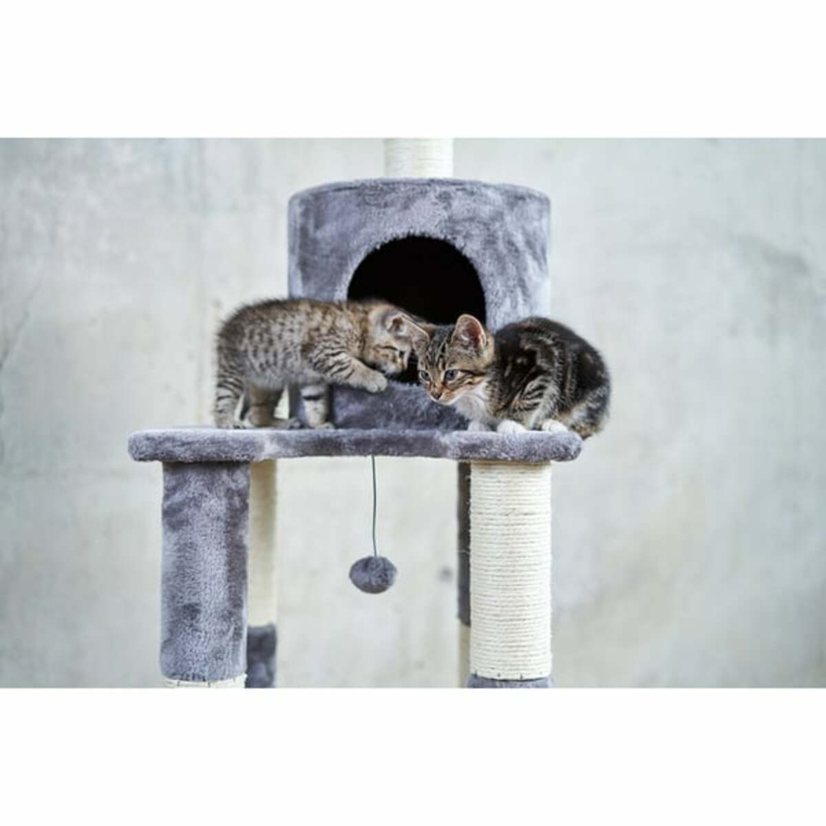 Bild 3 von ZooRoyal Kratzbaum Mia 146cm grau