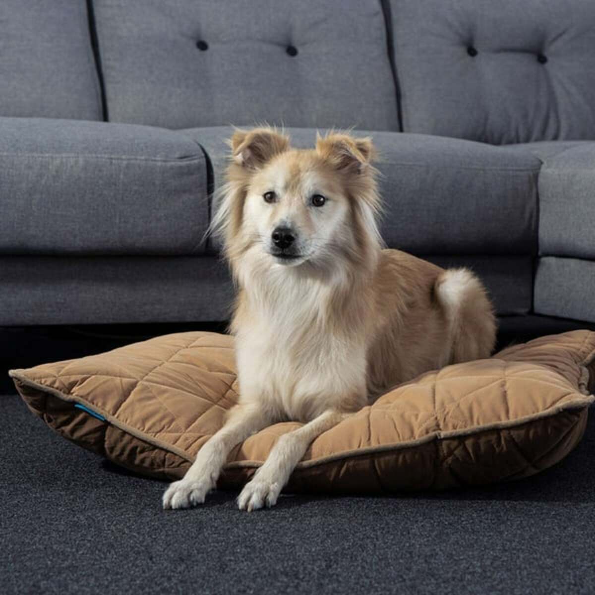 Bild 4 von ZooRoyal Haustier Kuschelkissen Luna 75x60 cm braun