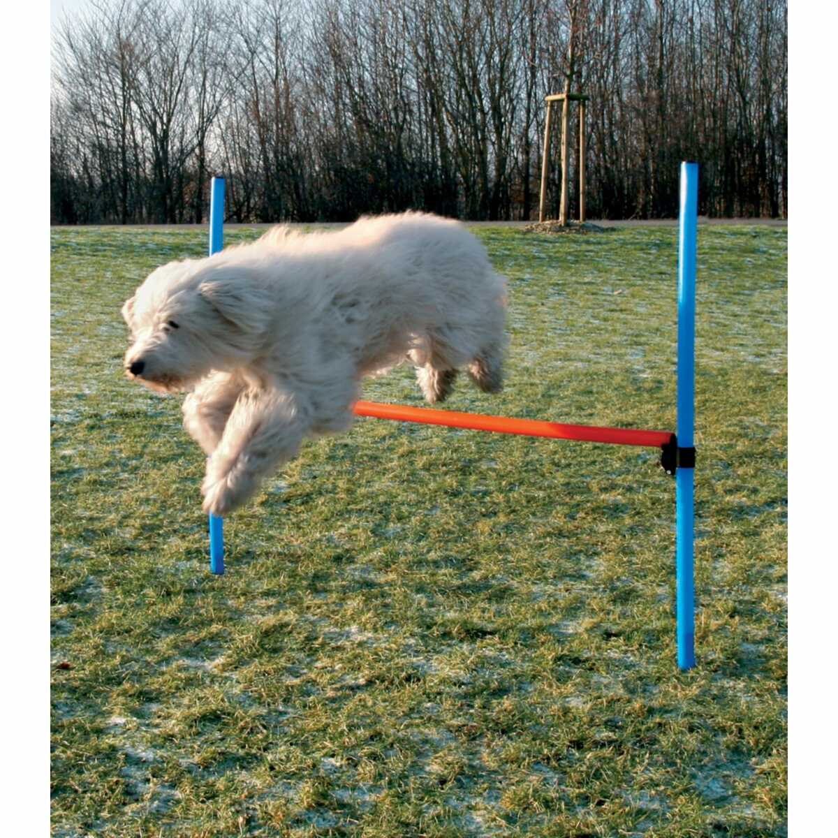 Bild 1 von Dog - Agility - Hürde