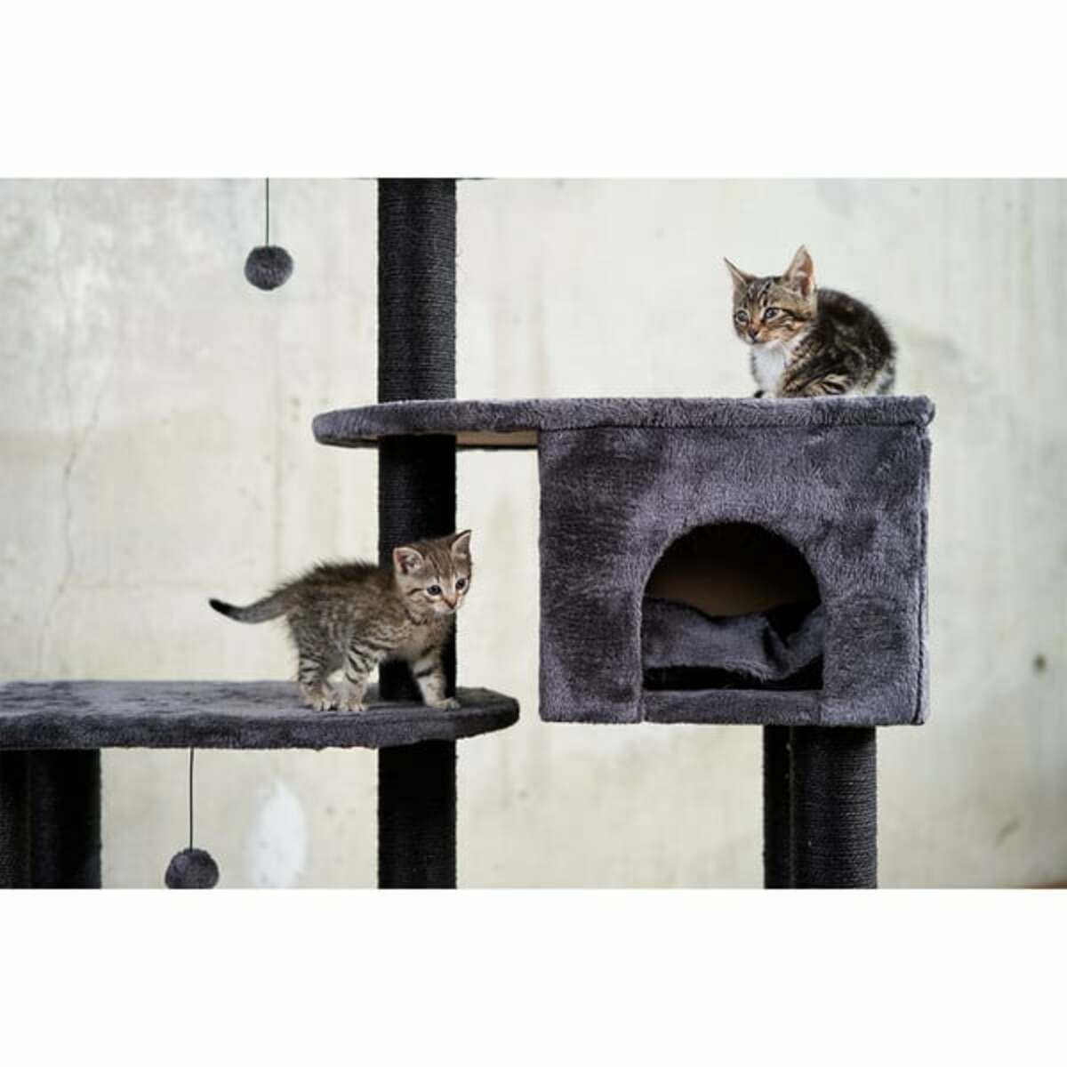 Bild 4 von ZooRoyal Kratzbaum Mila 128 cm anthrazit