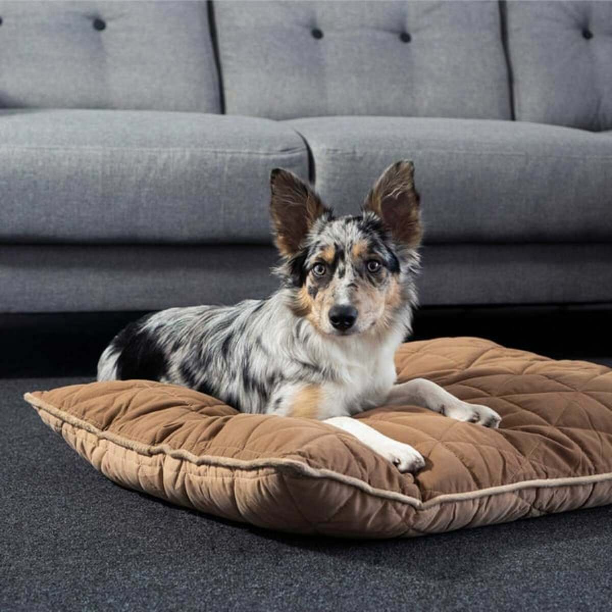 Bild 2 von ZooRoyal Haustier Kuschelkissen Luna 75x60 cm braun