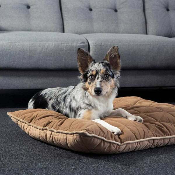 Bild 2 von ZooRoyal Haustier Kuschelkissen Luna 75x60 cm braun