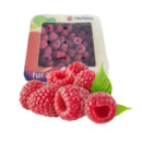 Bild 1 von Deutschland Himbeeren