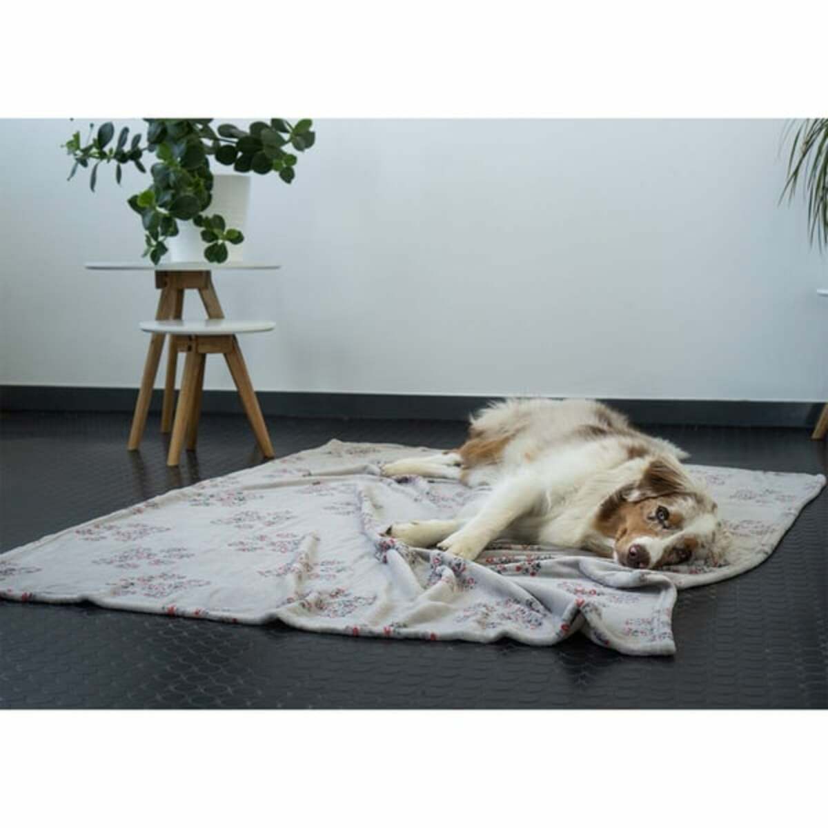 Bild 2 von ZooRoyal Kuscheldecke Tierliebe 125x150cm grau Pfote klein & Herz