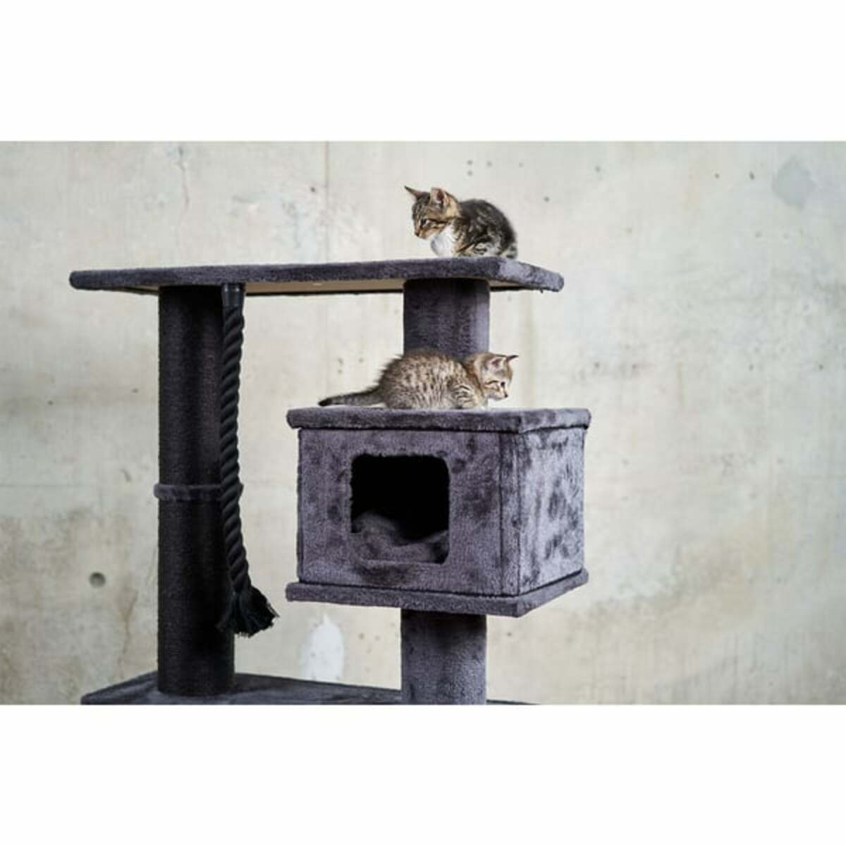 Bild 4 von ZooRoyal Kratzbaum Lucia anthrazit 113cm