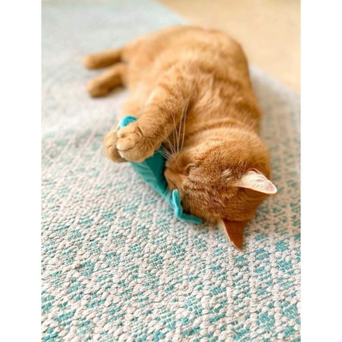 Bild 3 von Aumüller Katzenspielkissen Wal