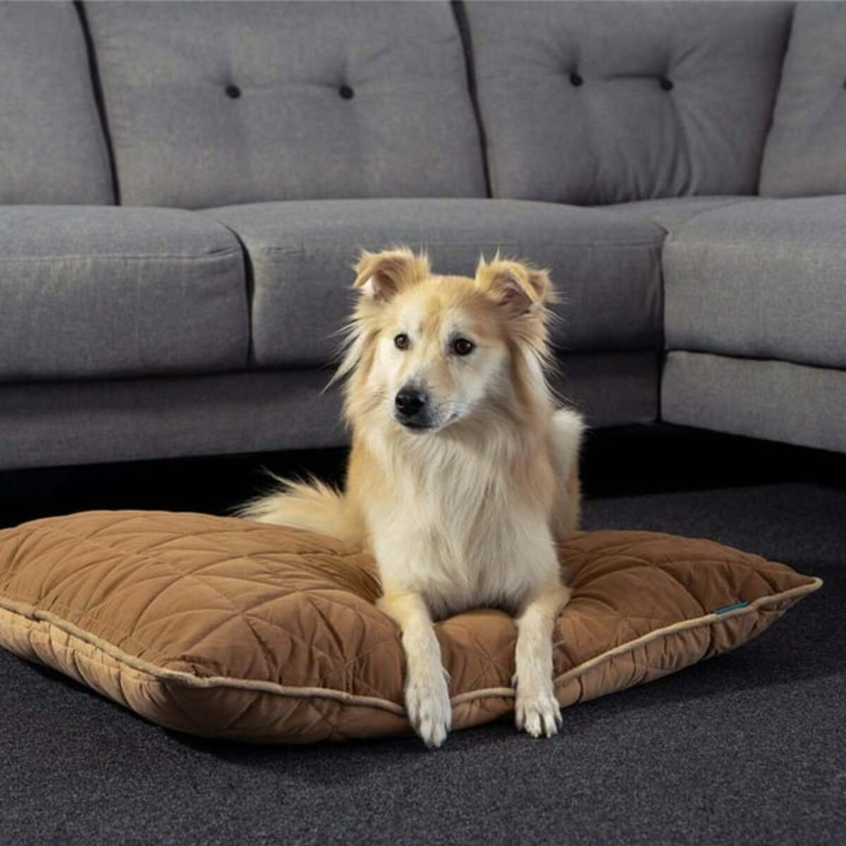 Bild 3 von ZooRoyal Haustier Kuschelkissen Luna 75x60 cm braun