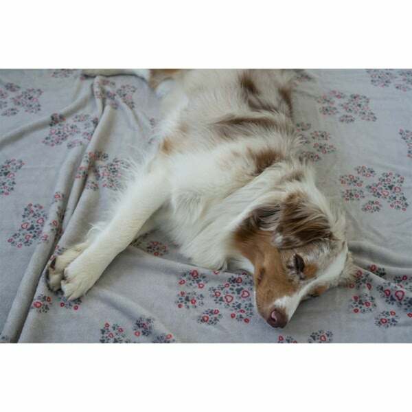 Bild 3 von ZooRoyal Kuscheldecke Tierliebe 125x150cm grau Pfote klein & Herz