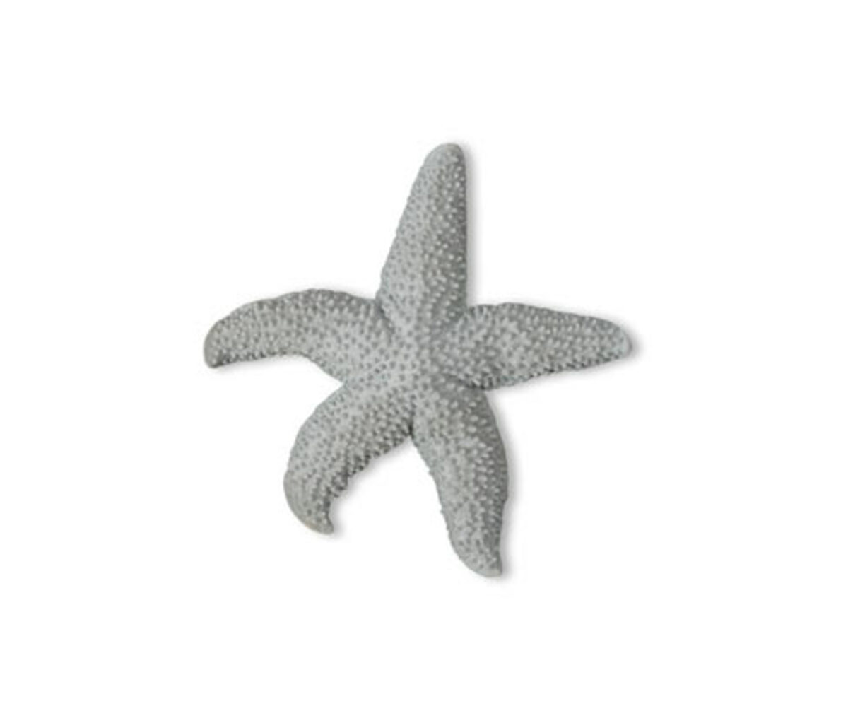 Bild 1 von Dekoobjekt Seestern »Mandy«