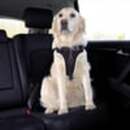Bild 3 von Trixie Dog Protect Sicherheitsgeschirr für Hunde M