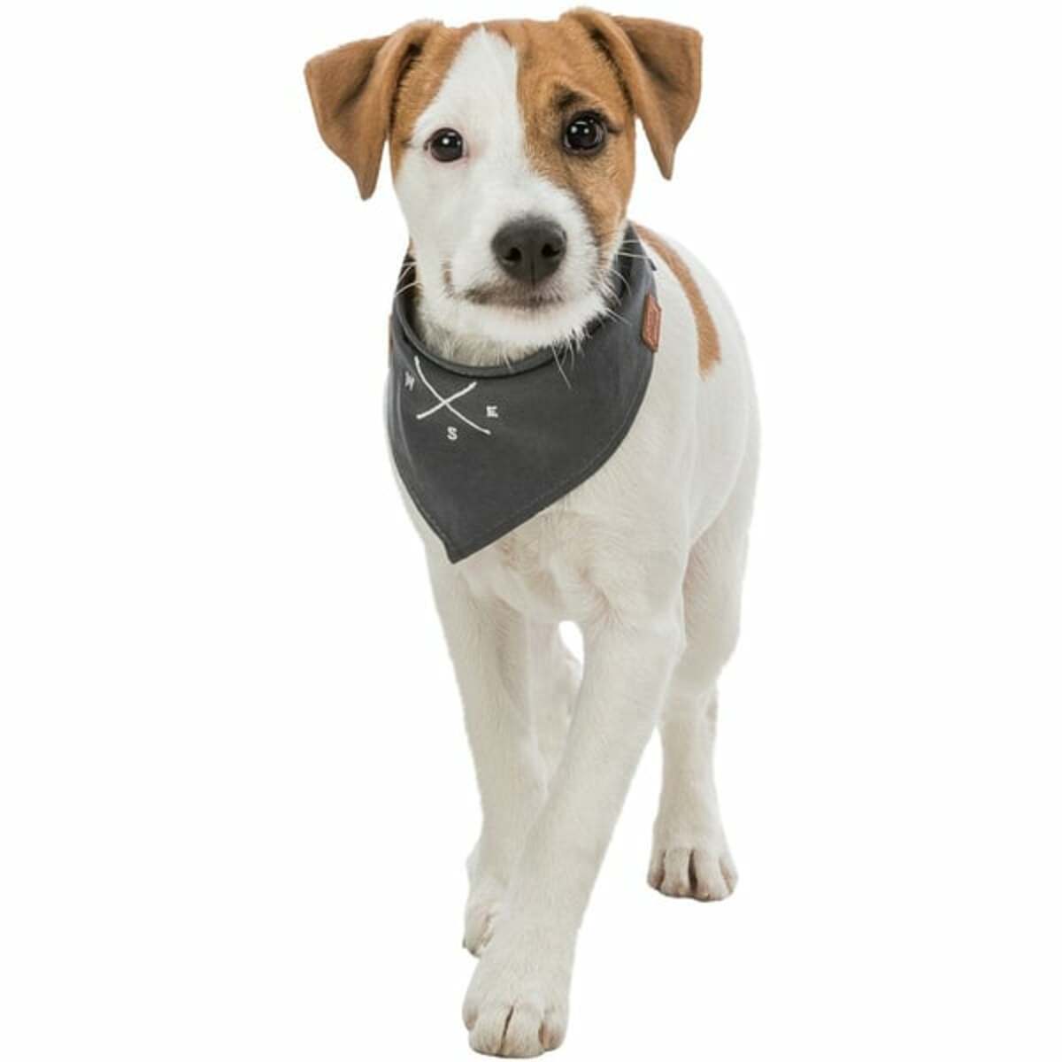 Bild 1 von Trixie BE NORDIC Halstuch S 30 cm