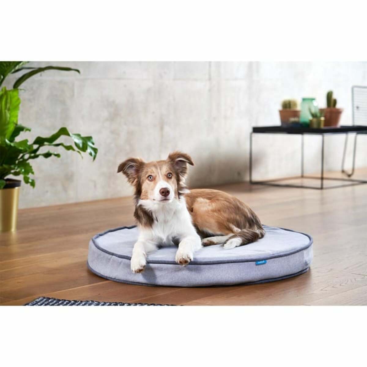 Bild 4 von ZooRoyal Orthopädisches Hundekissen Elias rund grau Ø 100 cm