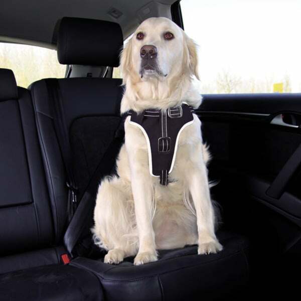 Bild 1 von Trixie Dog Protect Sicherheitsgeschirr für Hunde M