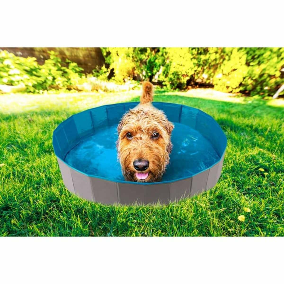 Bild 2 von ZooRoyal Hundepool 160x30cm