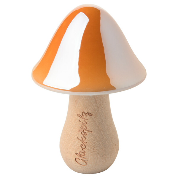 Bild 1 von Deko-Pilz mit Keramikkopf