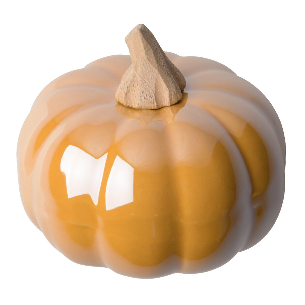 Bild 1 von Kleiner Deko-Kürbis in glänzender Optik