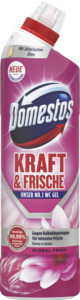 Domestos Kraft & Frische WC Gel Floral Fresh