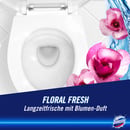 Bild 3 von Domestos Kraft & Frische WC Gel Floral Fresh