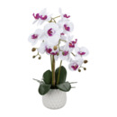 Bild 3 von LIVING ART Naturgetreue Orchidee