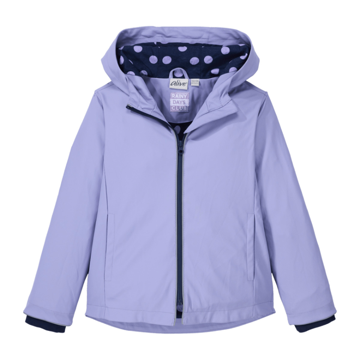 Bild 2 von POCOPIANO Friesennerz