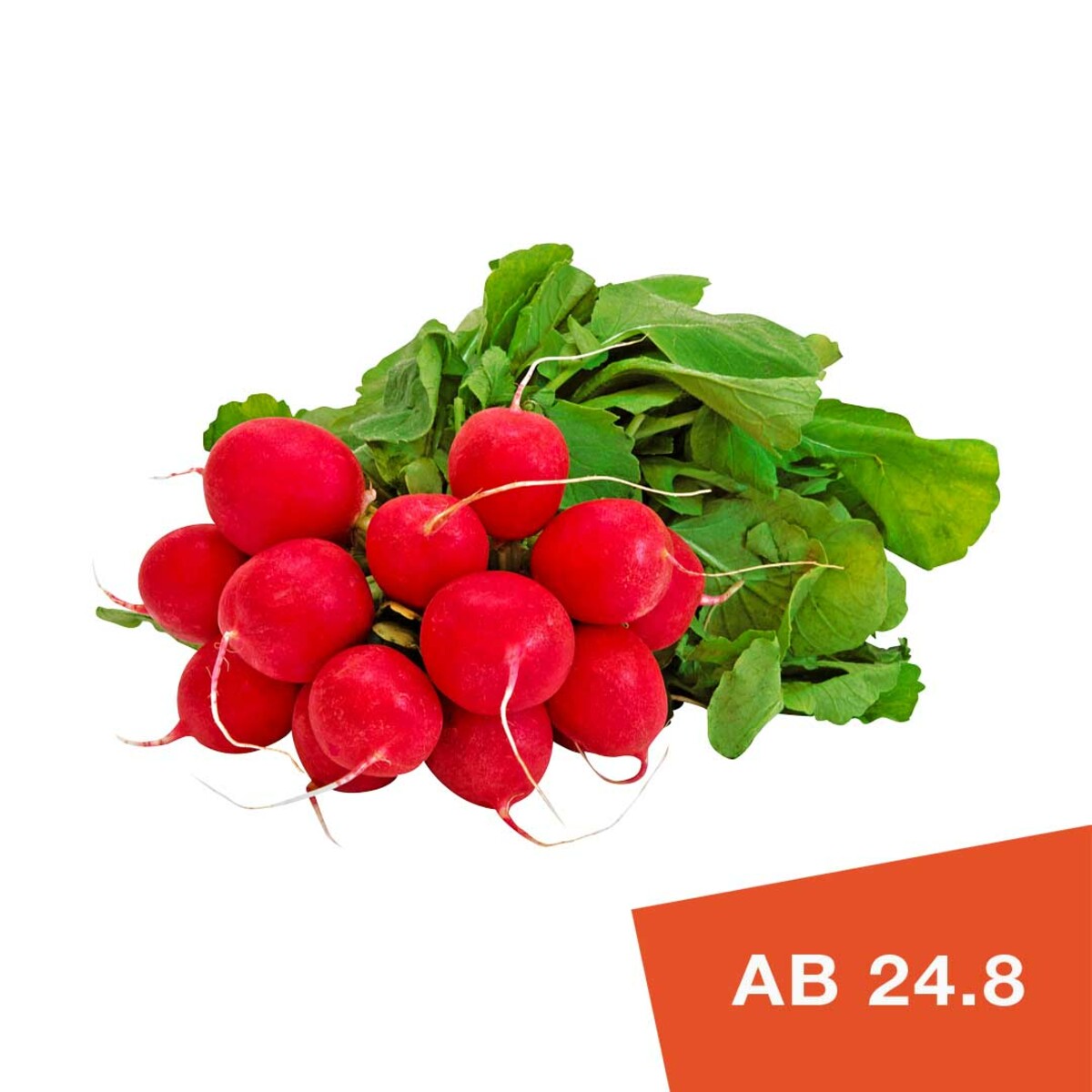 Bild 1 von RADIESCHEN  Deutschland,  Kl. I, je 10er-Bund