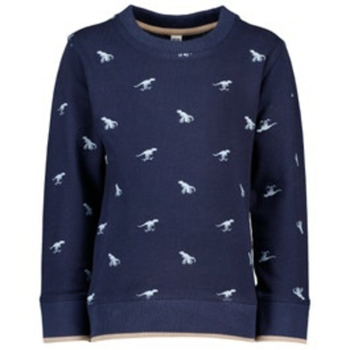 Bild 1 von Jungen Sweater