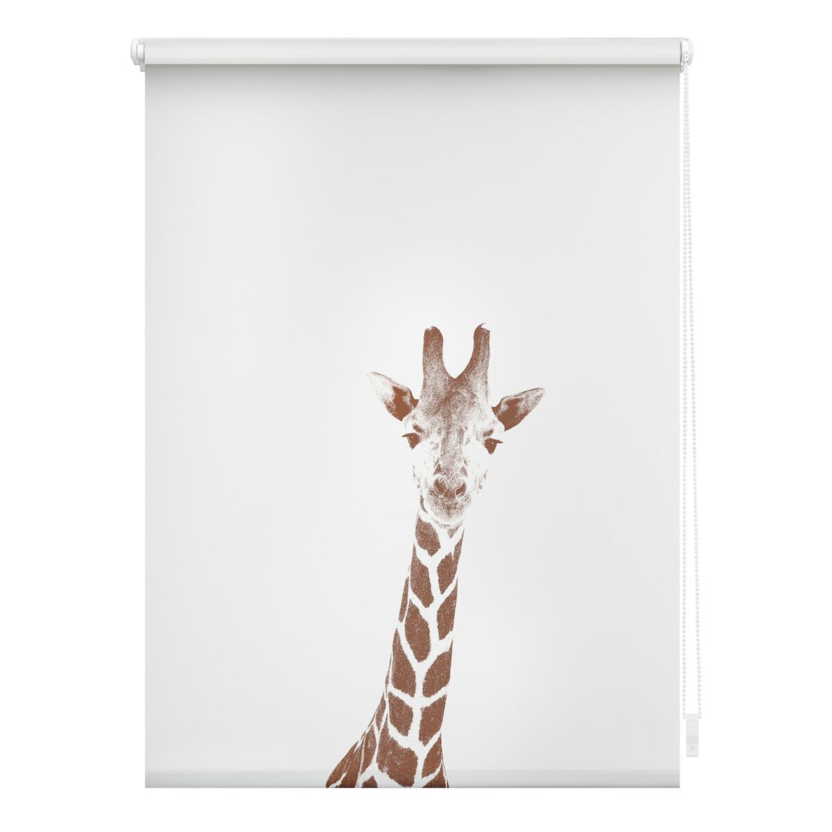 Bild 1 von Lichtblick Rollo Klemmfix, ohne Bohren, blickdicht, Giraffe - Braun