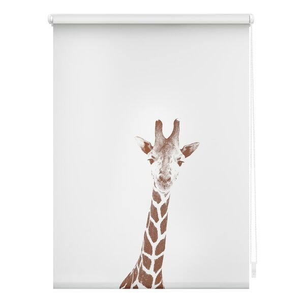 Bild 1 von Lichtblick Rollo Klemmfix, ohne Bohren, blickdicht, Giraffe - Braun