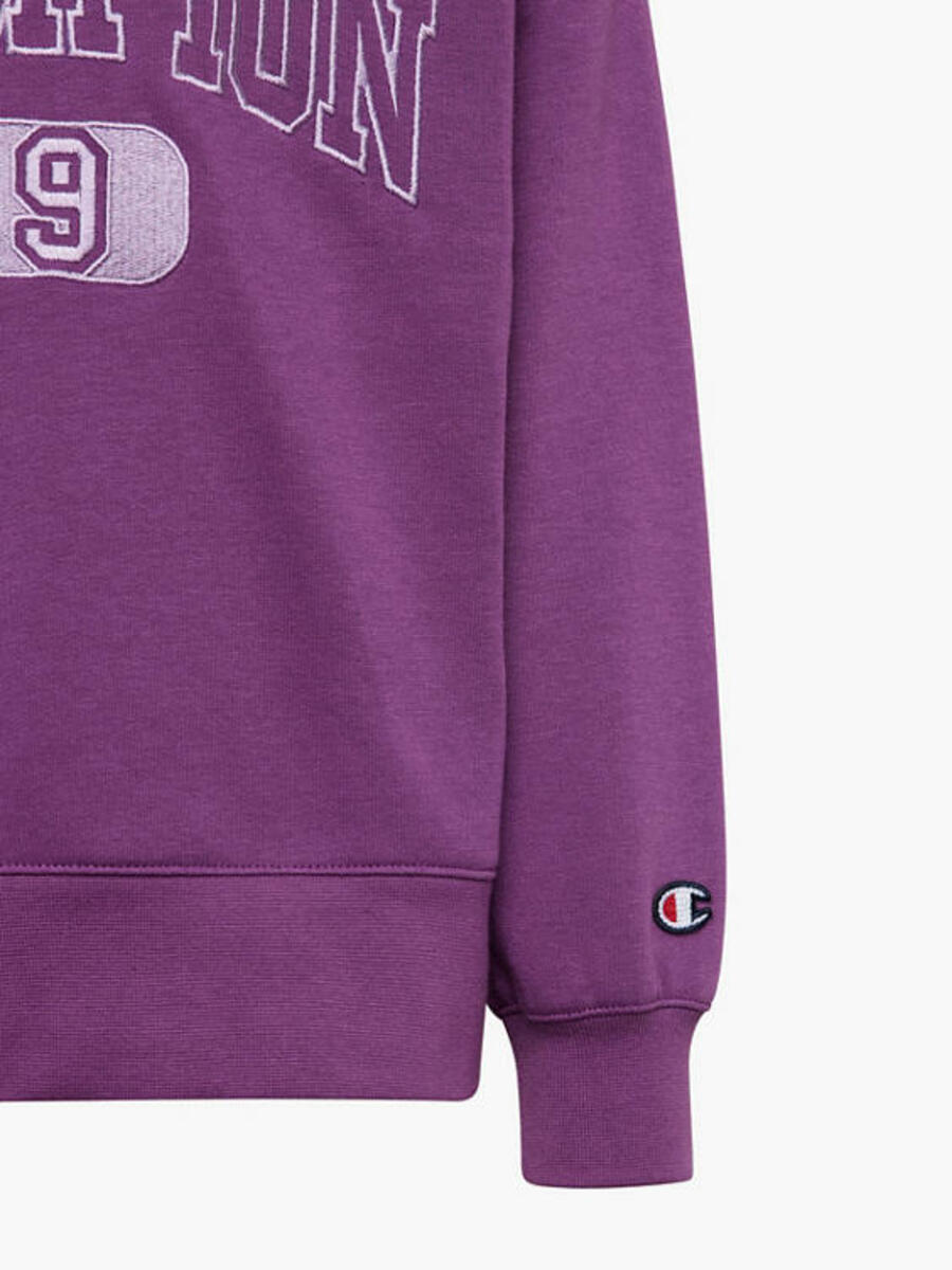 Bild 4 von Champion Hoodie