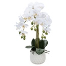 Bild 3 von CASA DECO Naturgetreue Orchidee im Topf