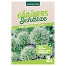 Bild 2 von GARDENLINE Allium-Zierlauch-Mischung