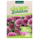 Bild 3 von GARDENLINE Allium-Zierlauch-Mischung