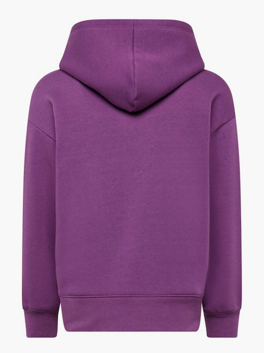 Bild 2 von Champion Hoodie