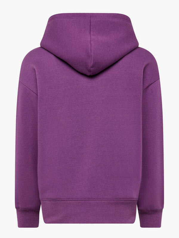 Bild 2 von Champion Hoodie