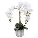 Bild 4 von CASA DECO Naturgetreue Orchidee im Topf
