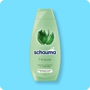 Bild 1 von Shampoo