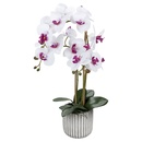 Bild 2 von CASA DECO Naturgetreue Orchidee im Topf