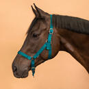 Bild 1 von Halfter Pferd/Pony - Schooling türkis