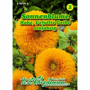 Helianthus, Sonnenblume, Hohe Gefüllte Gelbe