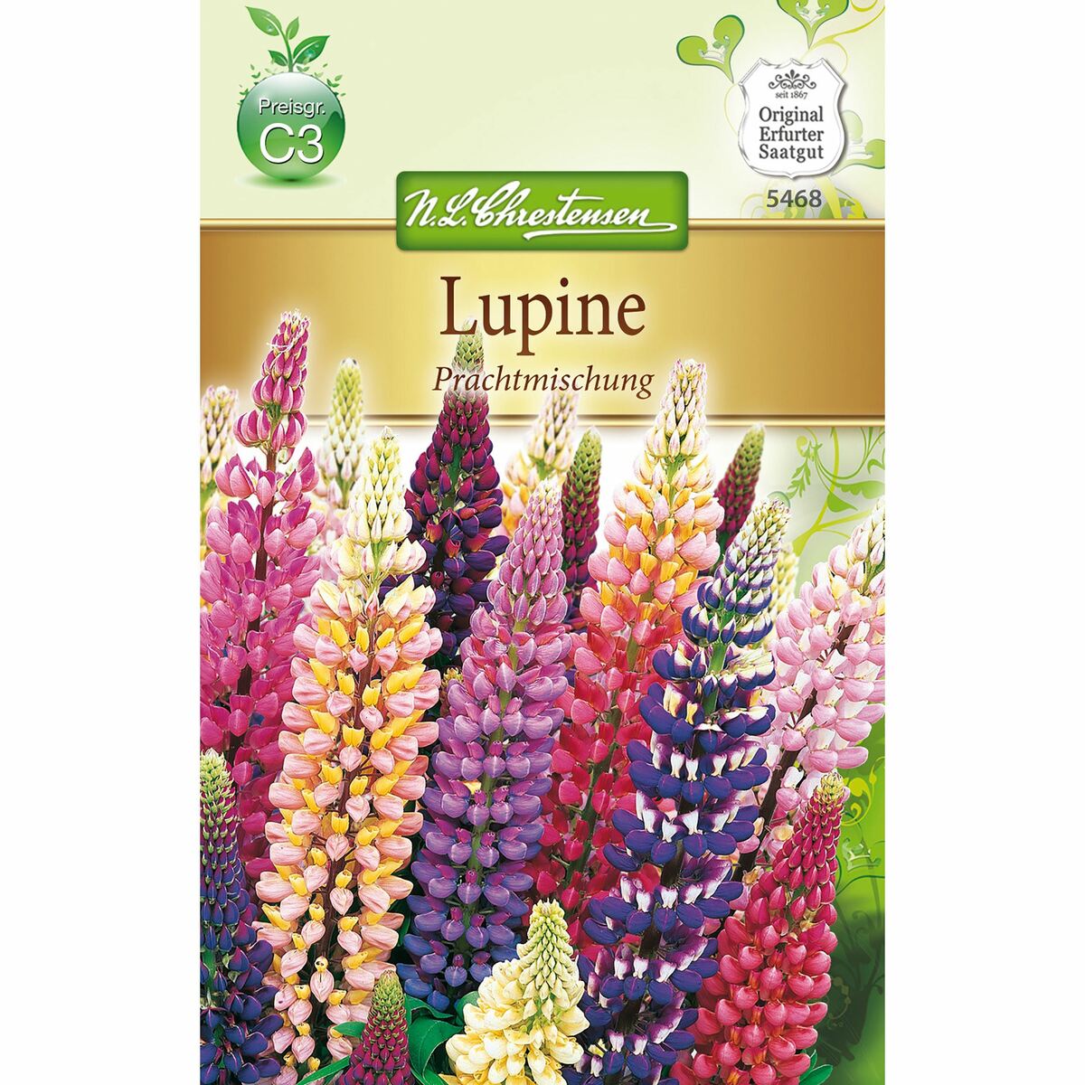Bild 1 von Lupinus Prachtmischung