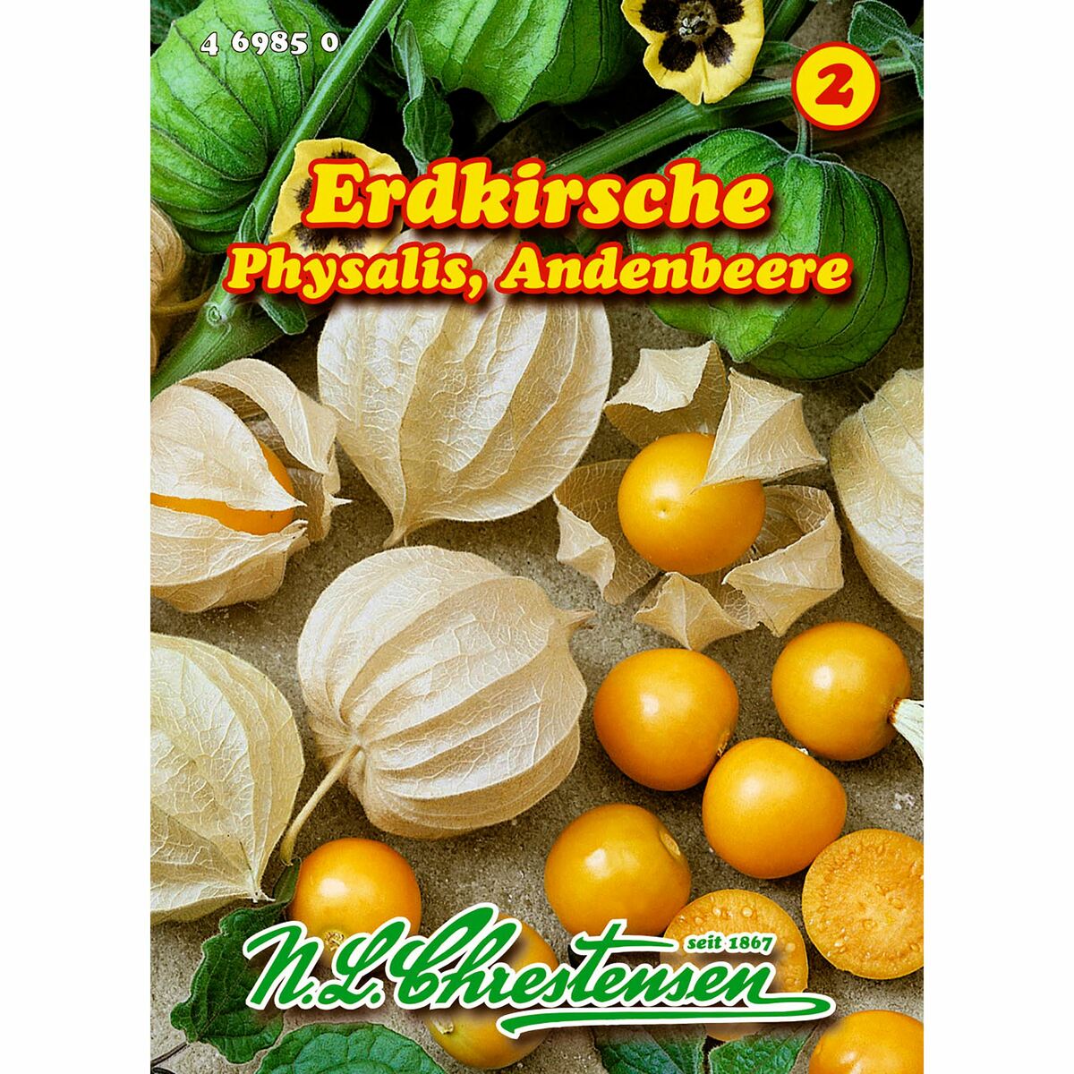 Bild 1 von Erdkirsche / Andenbeere / Physalis