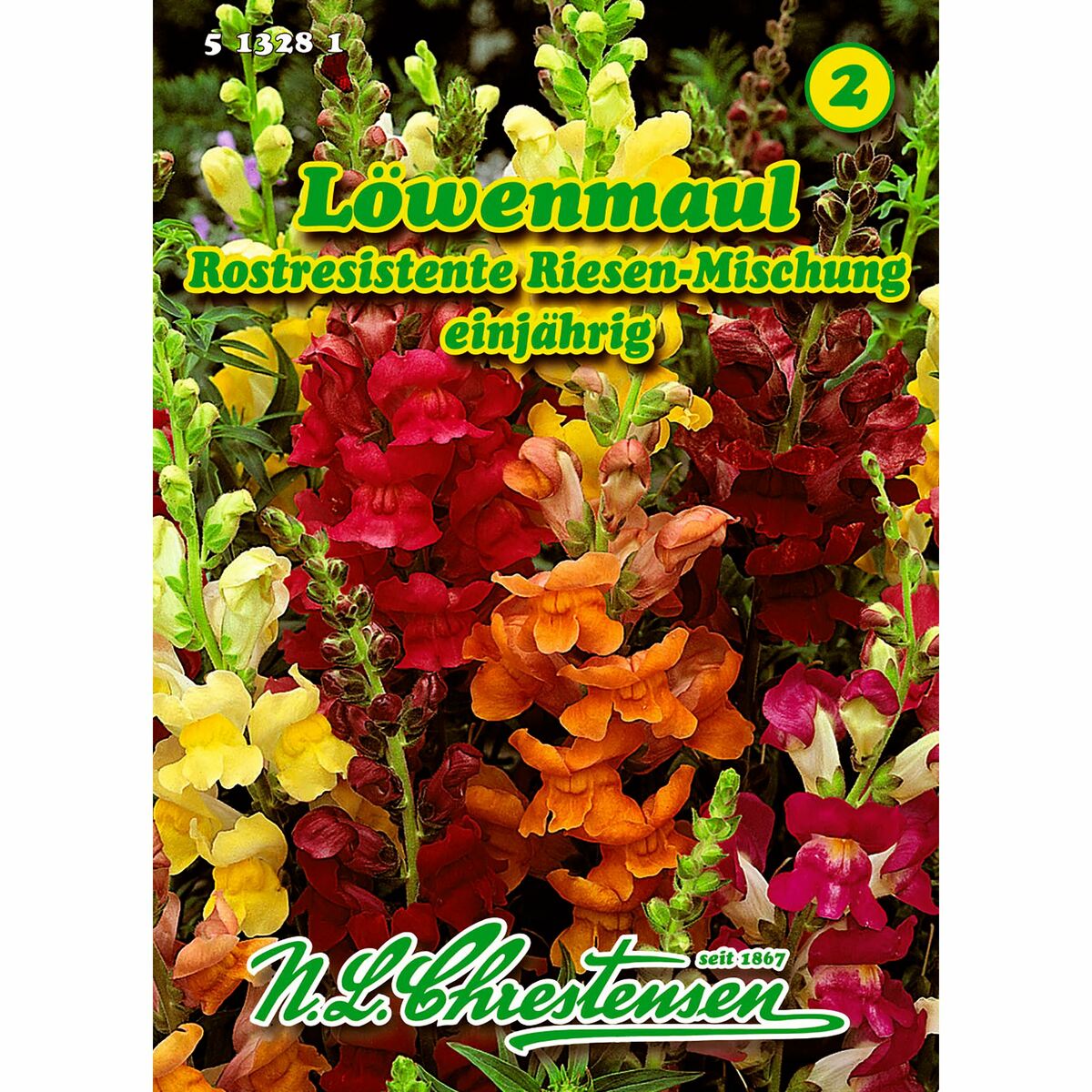 Bild 1 von Antirrhinum, Löwenmaul, Rostresistente Riesen-Mischung