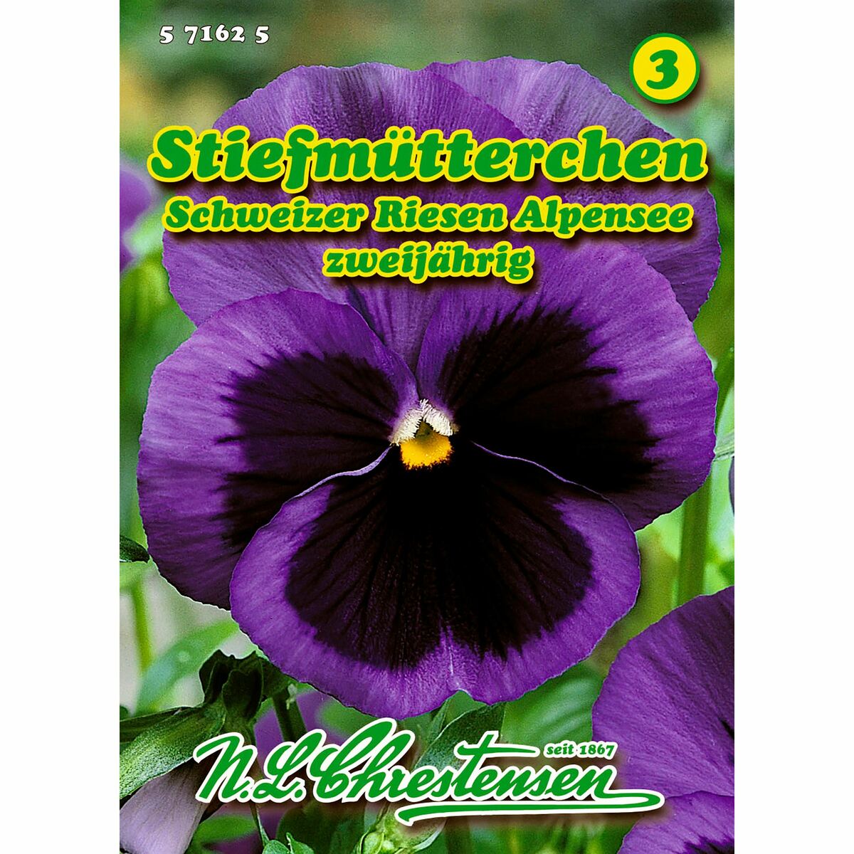 Bild 1 von Viola, Stiefmütterchen, Schweizer Riesen Alpensee