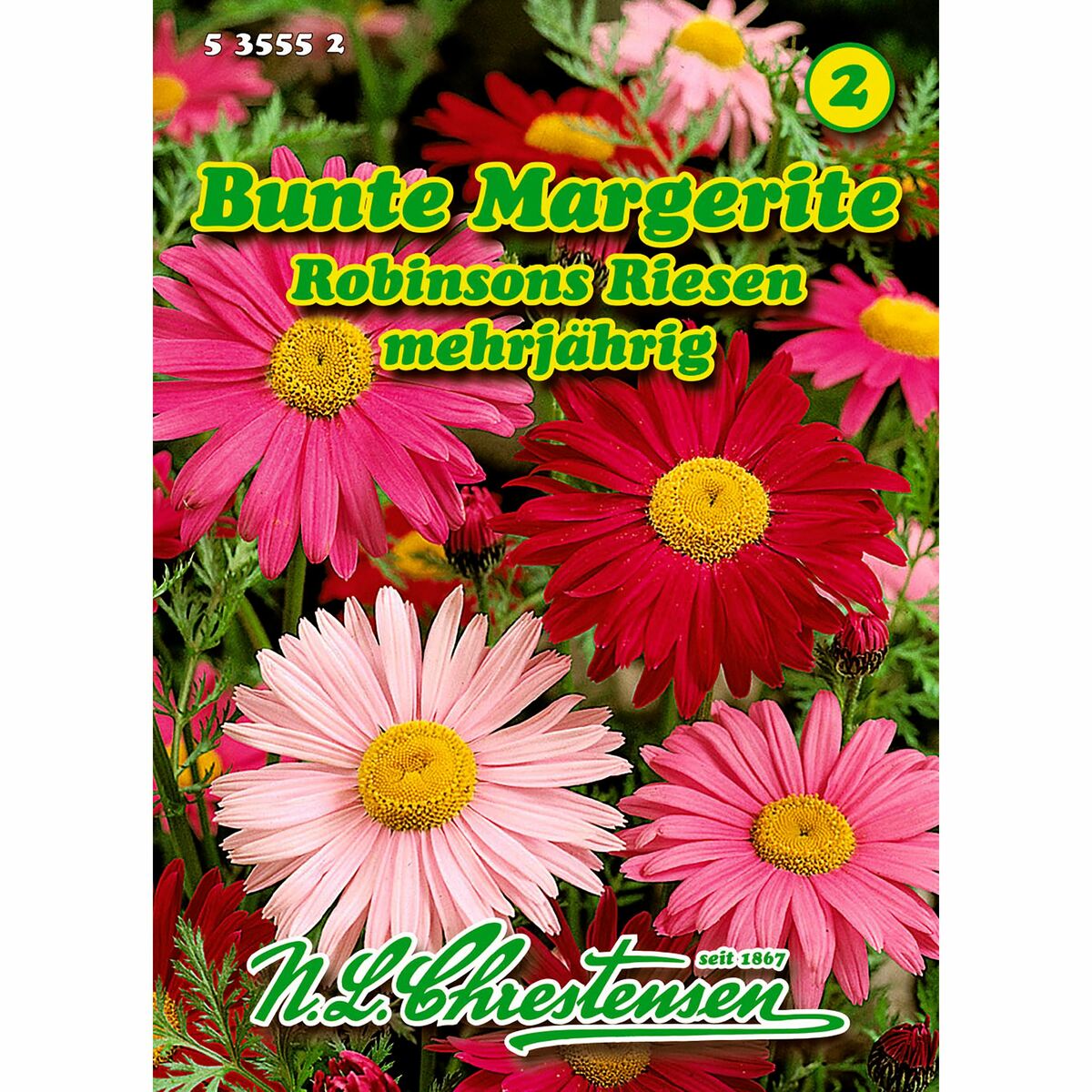 Bild 1 von Chrysanthemum coccinea, Bunte Margerite, Robinsons Riesen