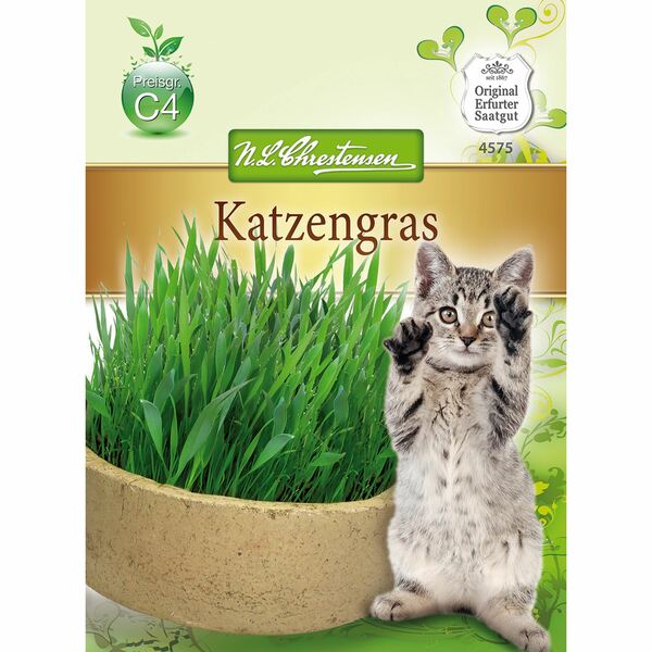 Bild 1 von Katzengras für ca. 1 m²