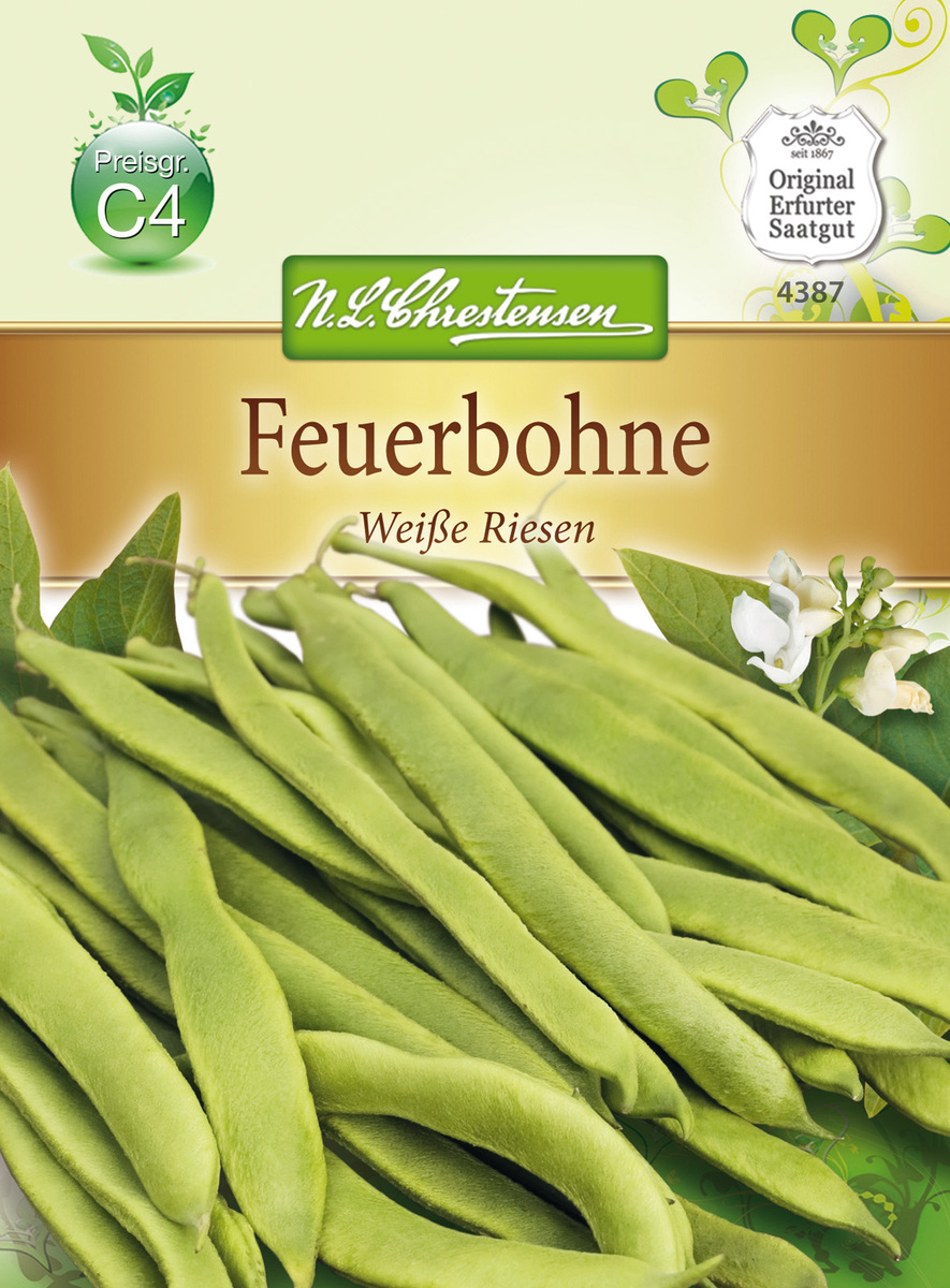 Bild 1 von Feuerbohne Weiße Riesen