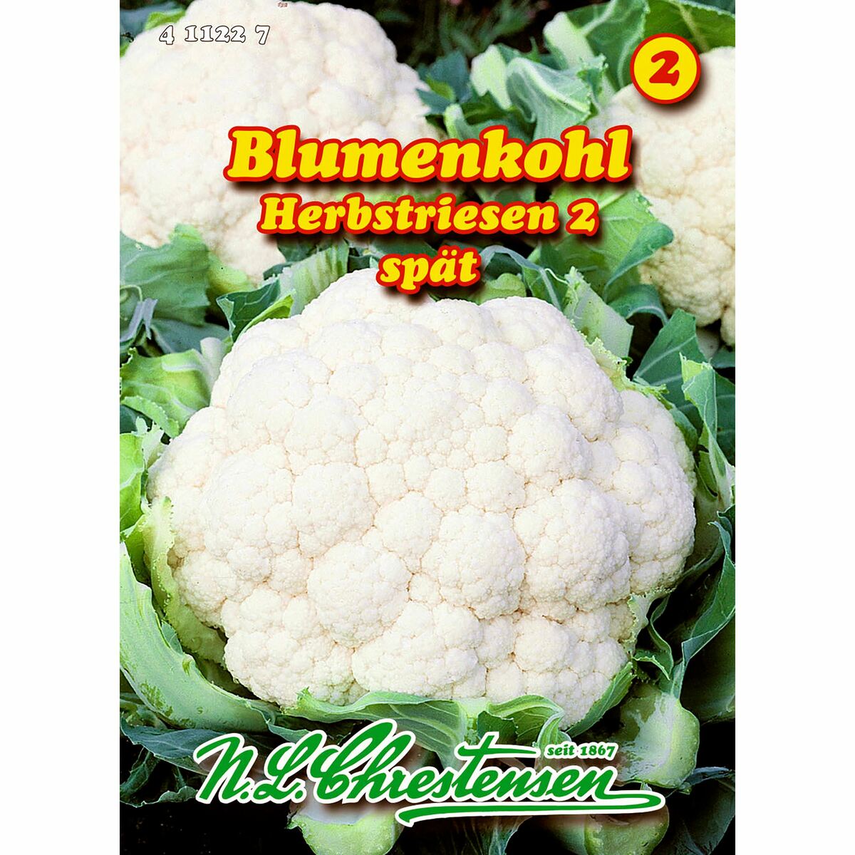 Bild 1 von Blumenkohl, Herbstriesen 2