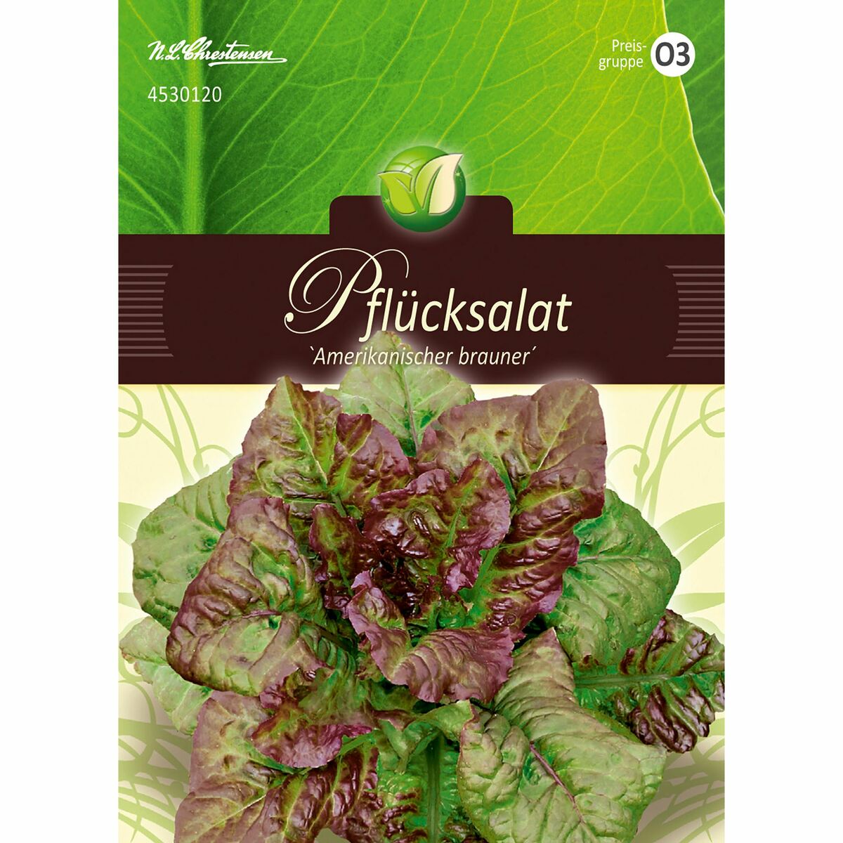 Bild 1 von Pflücksalat Amerikanischer brauner für ca. 500 Pflanzen