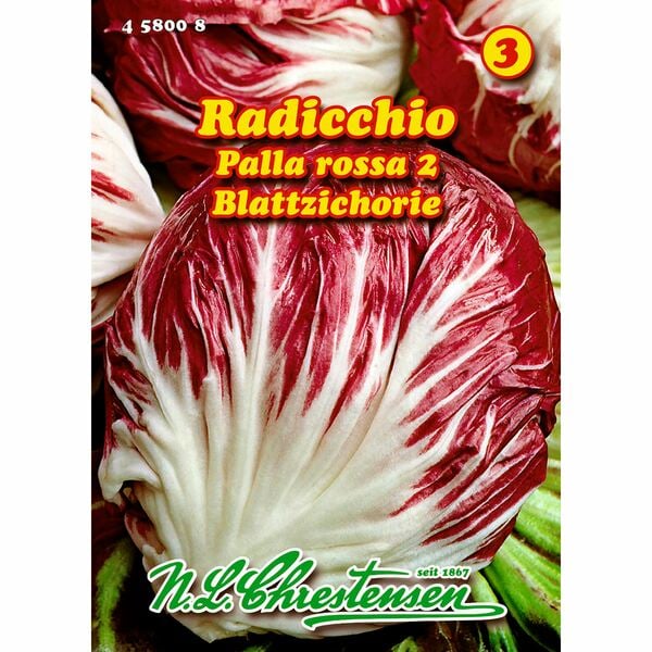 Bild 1 von Radicchio, Palla rossa 2