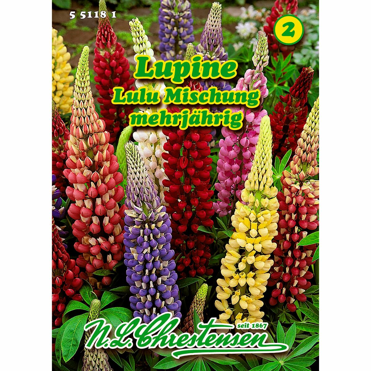 Bild 1 von Lupinus nanus, Lupine, Lulu Mischung